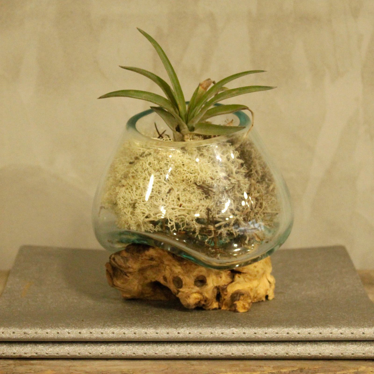 Molten Glass Bowl on Wood – Small