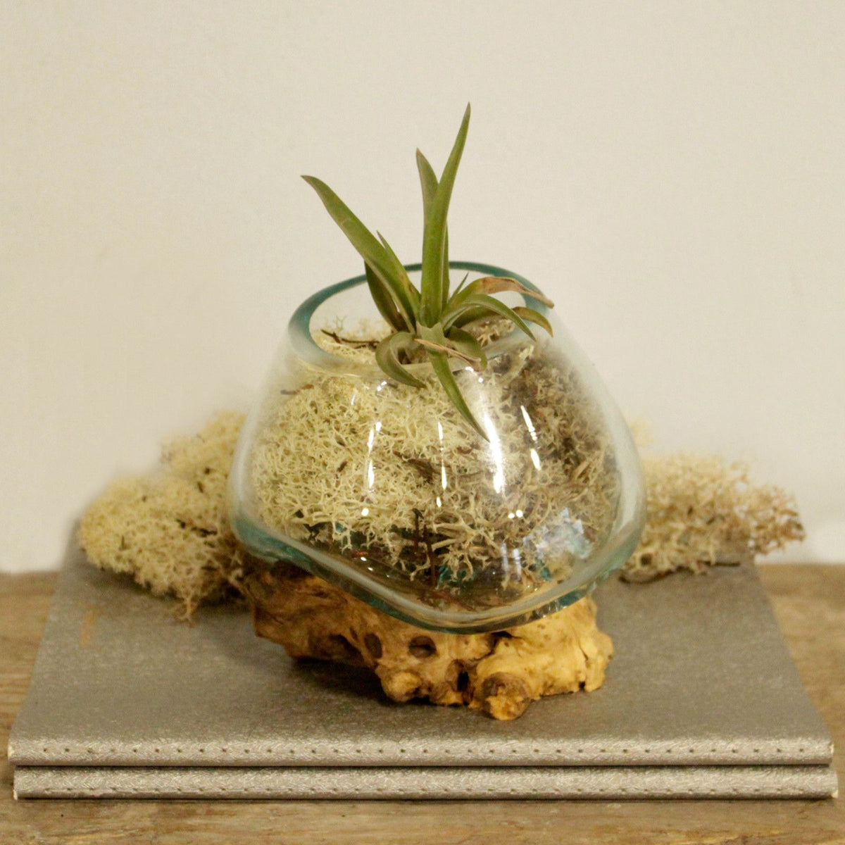 Molten Glass Bowl on Wood – Small