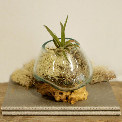 Molten Glass Bowl on Wood – Small